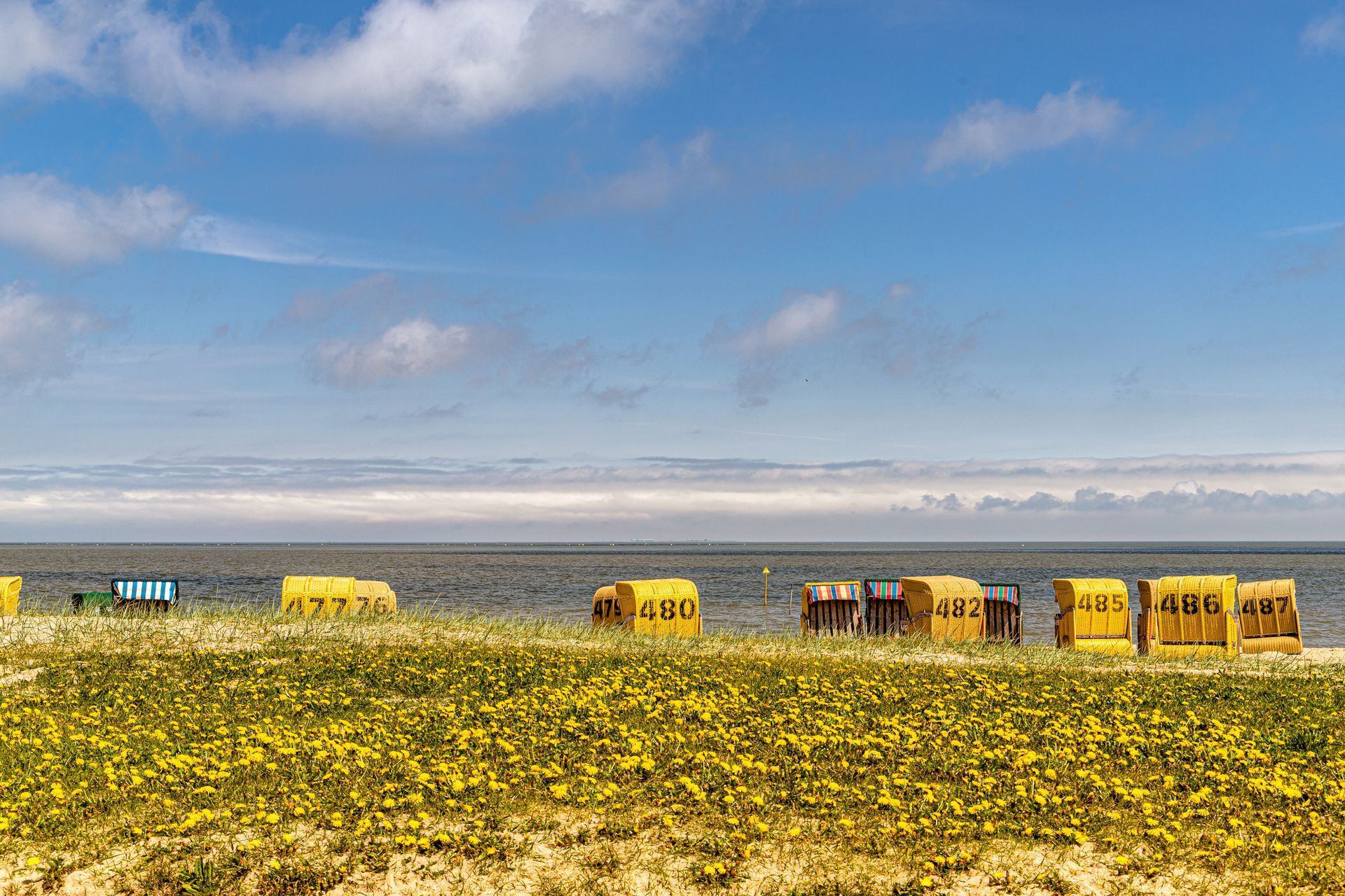 Strand