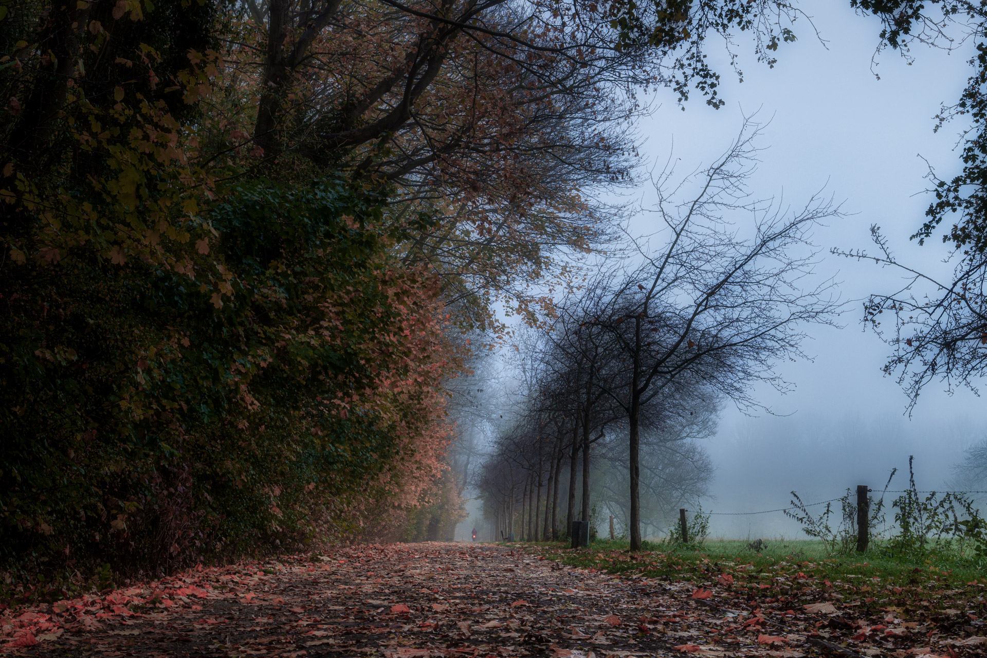 Radfahren durch den Rüstringer Park